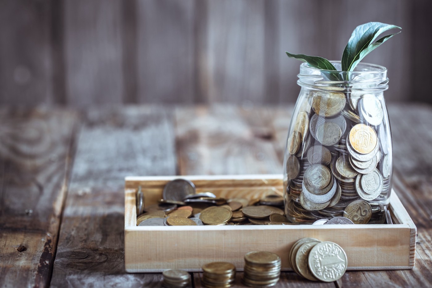 A glass jar of coins with a green shoot growing from the top